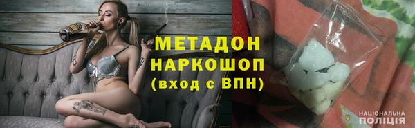 прущие грибы Алзамай