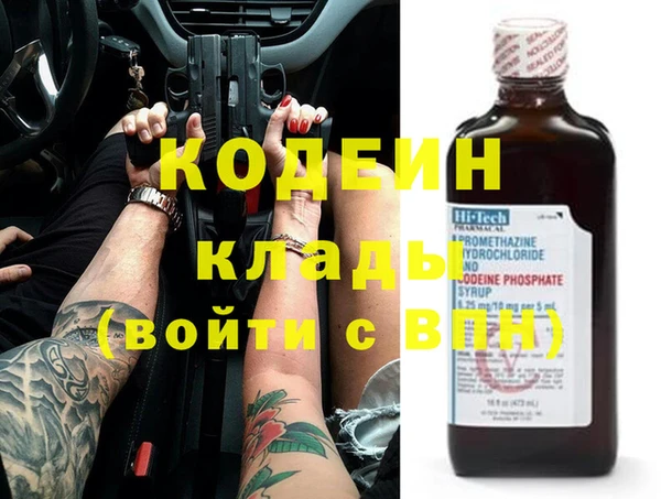 прущие грибы Алзамай