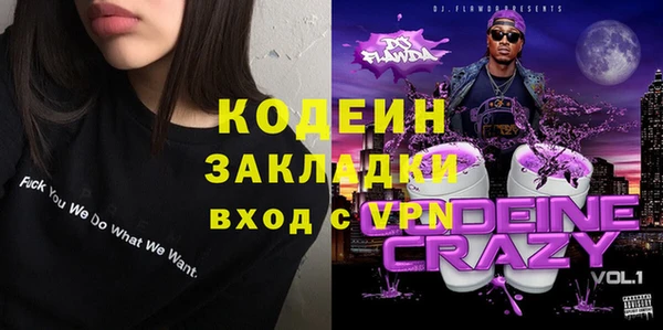 прущие грибы Алзамай