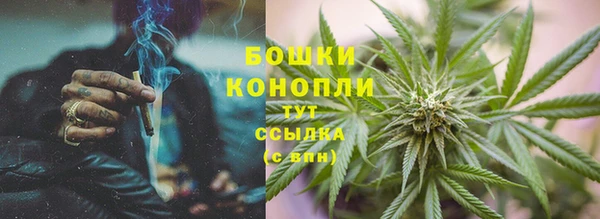 прущие грибы Алзамай